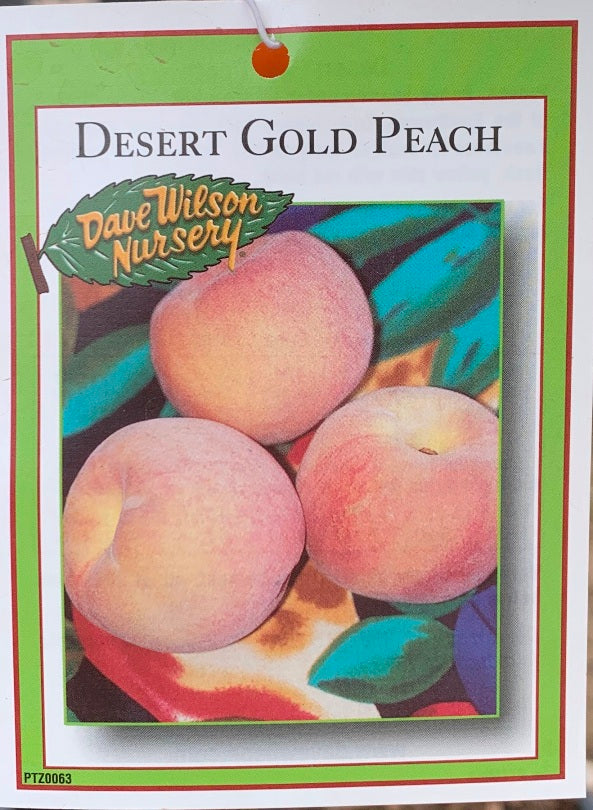 Peaches