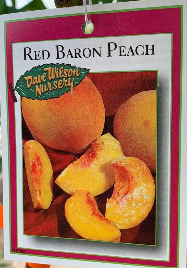 Peaches